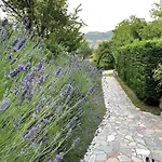 “sparisio” Casa In Sasso Con Piscina E Campo Da Tennis
