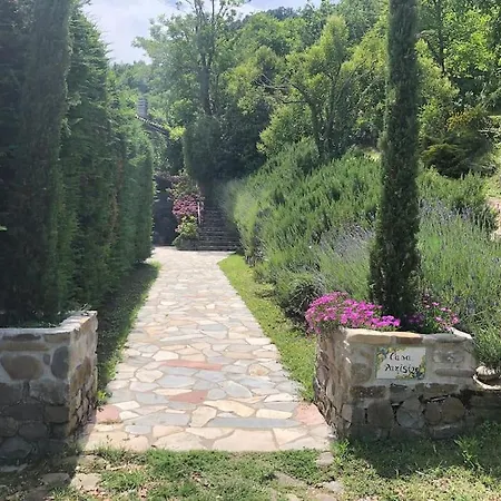 “sparisio” Casa In Sasso Con Piscina E Campo Da Tennis *